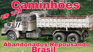 Ep.249 🚚 Caminhões Abandonados Repousando Brasil