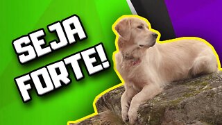 Seja FORTE durante a Pandemia! | Dr. Edgard Gomes | Alimentação natural para Cães