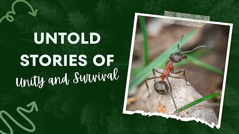 The Ant Diaries: Untold Stories of Unity and Survival | Inside the Ant Hill | Tiny Architects