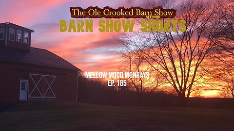 "Barn Show Shorts " Ep.185 “Mellow Mood Mondays”