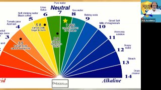 How to Understand Chemical pH