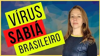 Vírus Sabiá, um Arena vírus brasileiro de alta letalidade