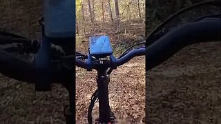 Hill Climbing BEAST Hanevear H100 AWD Ebike