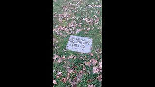 My GG grandmother gravestone
