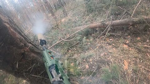 Forest Combat In Ukraine