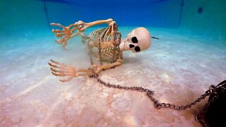 Skeleton in the Swimming Pool