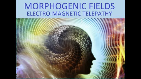 Telepathic Connection to the Thoughts of Everyone Living Through Earth's Magnetic Field