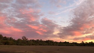 Beautiful morning in Western Australia😎🇦🇺😎￼