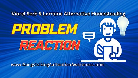 Viorel Serb & Lorraine Alternative Homesteading - Problem | Reaction (Part 2)