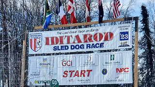 Iditarod 2023, The Last Great Race || Alaska dog mushing race