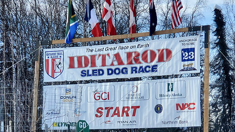 Iditarod 2023, The Last Great Race || Alaska dog mushing race