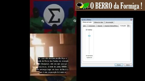Burrice! Essa é a voz do "integralista"(ou esquerdista?). Sotaque carioca? Vídeo Fake?