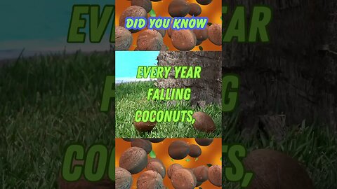 Did you know Coconuts kill more people than sharks! 🥥 🤯