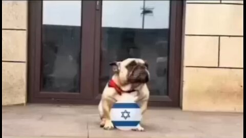 never seen before, behind the scenes footage of the complex situation between Iran and “Israel”