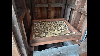 Off Grid Wood Fired Food Dehydrator Part 2