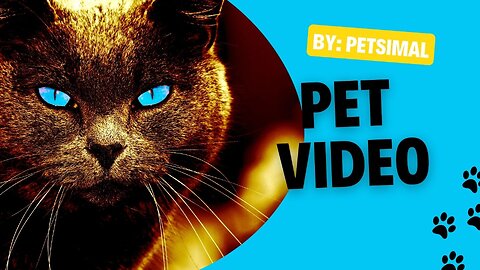 Hilarious Cat and Dog Videos That Will Make You Laugh Out Loud #pets