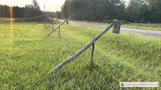 Angled Fence Design To Keep Deer Out Of Farm
