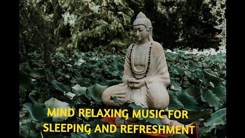 Mind Relaxing Mediation Music Video