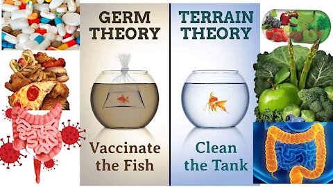 Germ Theory a refutation!