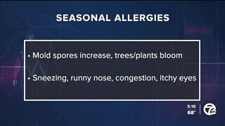 Here's what you can do to beat these common springtime illnesses