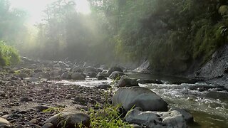 MUSIC RELAXING WITH NATURE RIVER PEACE