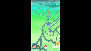 Live de Pokémon GO - Evento Valentine's Day