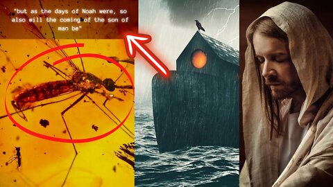 A Mosquito Decodes The Days Of NOAH | Matthew Miller Joins PR to share his Take on this Topic.