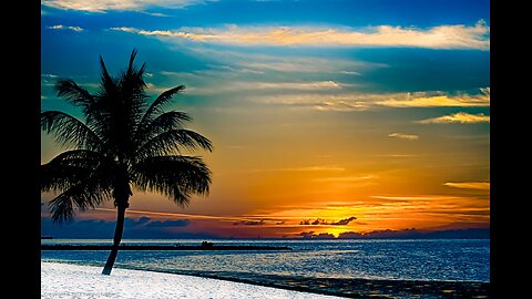 🌴 🌞 Winter Bliss in Key West: Boating & Sandbar Fun at 80 Degrees | Doggone Good Sandbar Times! 🏝️