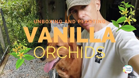 Unboxing and Growing Vanilla Orchids on Anarchy Farm