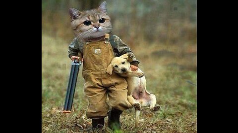 funny animal 2023😂.best funny animal videos-funny cat and dog videos