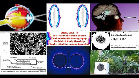 Energetic Science of Love | Sexual Energy & Programmable Bions | Emoto - DeMeo - Reich