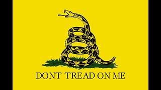 Leftists Attack Child Over Gadsden Flag Because They Don't Know History