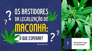 Os Bastidores da Legalização da Maconha: Argumentos e Perspectivas