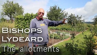The Allotments - Village Life in Bishops Lydeard, Somerset, UK