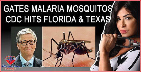 Malaria, Bill Gates GMO Mosquitoes & Hydroxychloroquine