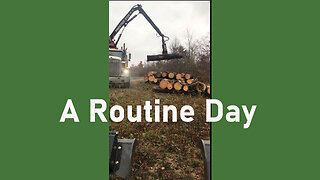 Log Pickup and Unloading: A Routine Day at the Sawmill.