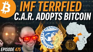 IMF MELTDOWN: Another Country Adopts Bitcoin | EP 475