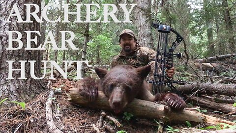 Archery Bear Hunt | Bear Hunt Over Bait | Learn Bear Bait Tips