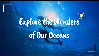 Exploring The Wonders Of The Ocean