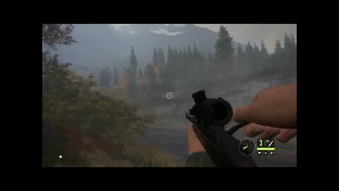 theHunter: Call of the Wild Chapter 84 Blackbear, Blacktail Deer and Roosevelt Elk!