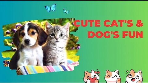 Funny animal videos 2023 Funniest cats 🐈 and dogs 🐕 videos