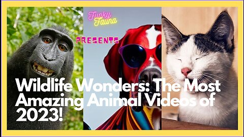 Wildlife Wonders: The Most Amazing Animal Videos of 2023!