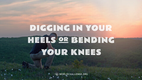 Digging in Your Heels or Bending Your Knees - Tim Dilena - January 23, 2022