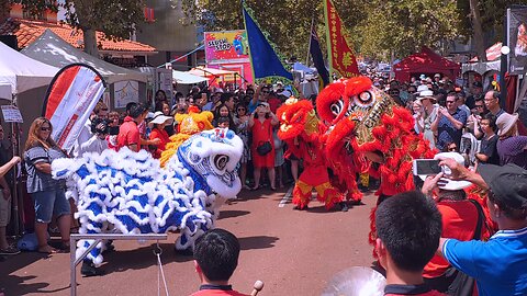 Lion Dance Drumming Chung Wah CNY Chinese New Year Perth Western Australia