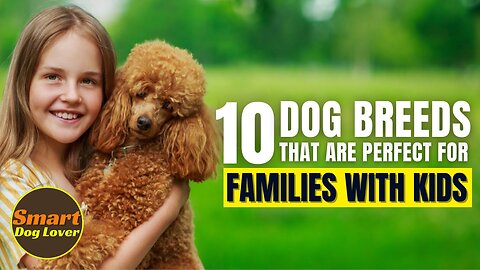 10 Dog Breeds That Are Perfect for Families With Kids| Dog Training Tips