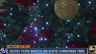 Governor lights annual state Christmas tree