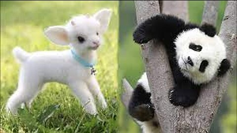 Cute baby animals Videos Compilation cute moment of the animals - Cutest Animals On Earth #2