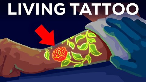Your Tattoo is INSIDE Your Immune System (literally)