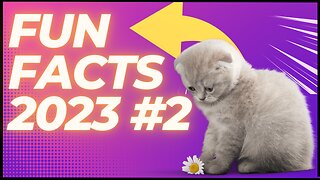 Funny Facts 23 #2