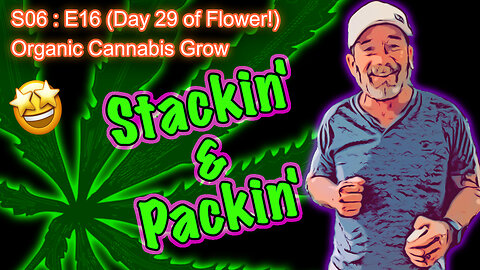 S06 E16 (Day #106) || Day 29 of Flower ||